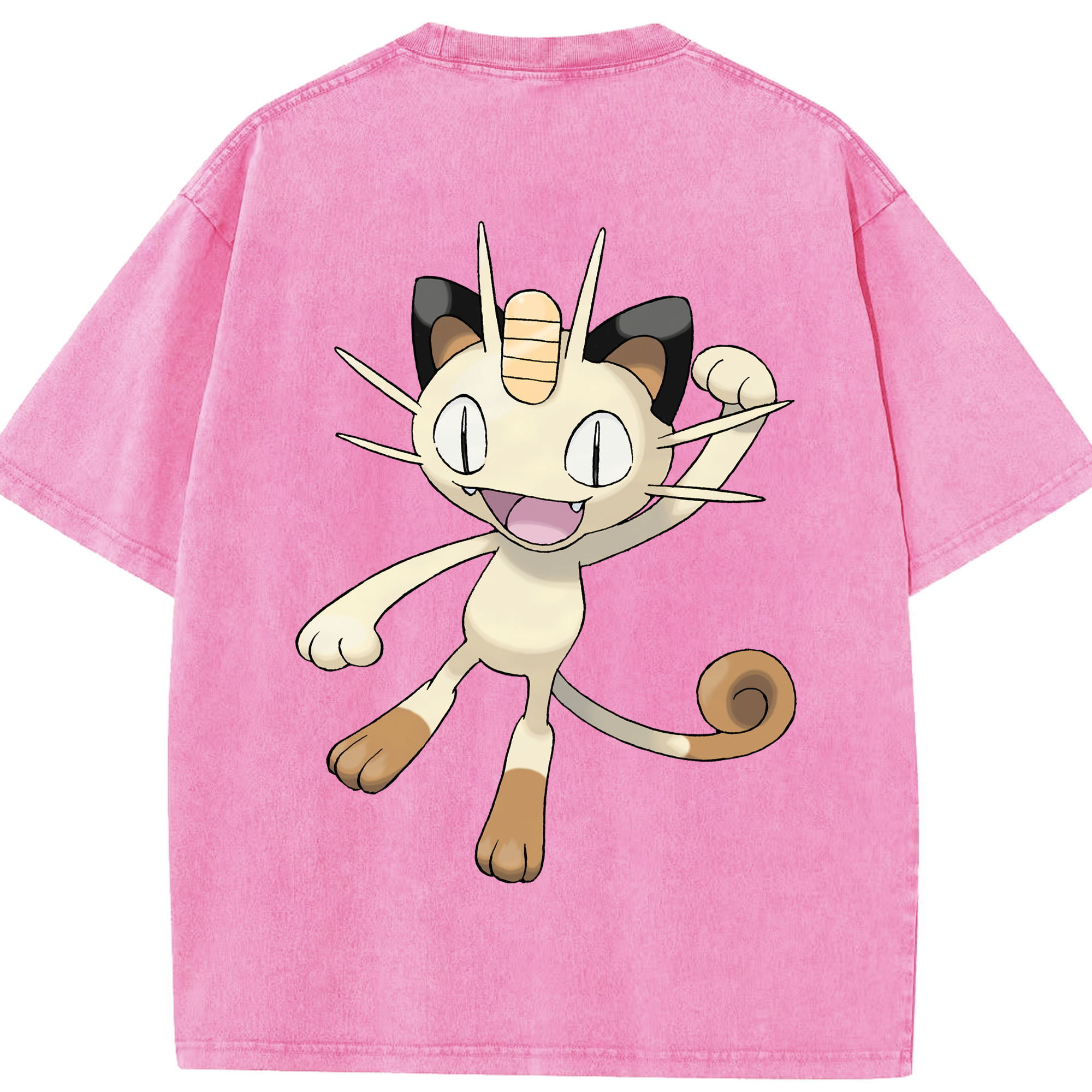 （画像用） ポケットモンスター Pokémon 綿100% ヴィンテージ風 半袖Tシャツ（背面プリント）